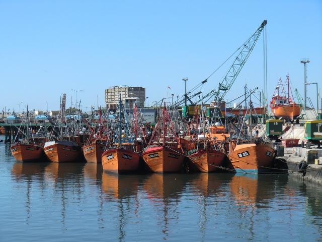 Im Hafen von Mar del Plata