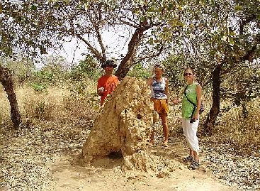 Adi, Mary und ich untersuchen Termitenhuegel