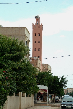Minarett mit Storchennest 