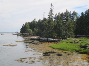 Pratt Island