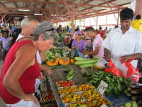 10.3.Sonntagsmarkt in Paramaribo