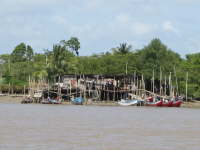 17.3.Am Surinam-River