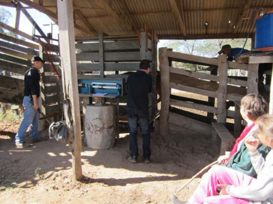 17.7.Ren an der Waage