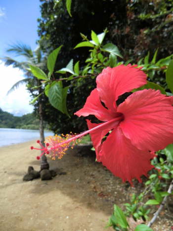 19.12.Auf Ilha Sandri