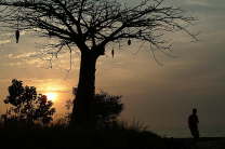 29.01. Kpt mit Baobab + Sonnenuntergang