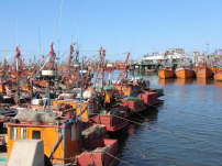 31.03.Fischereihafen Mar del Plata